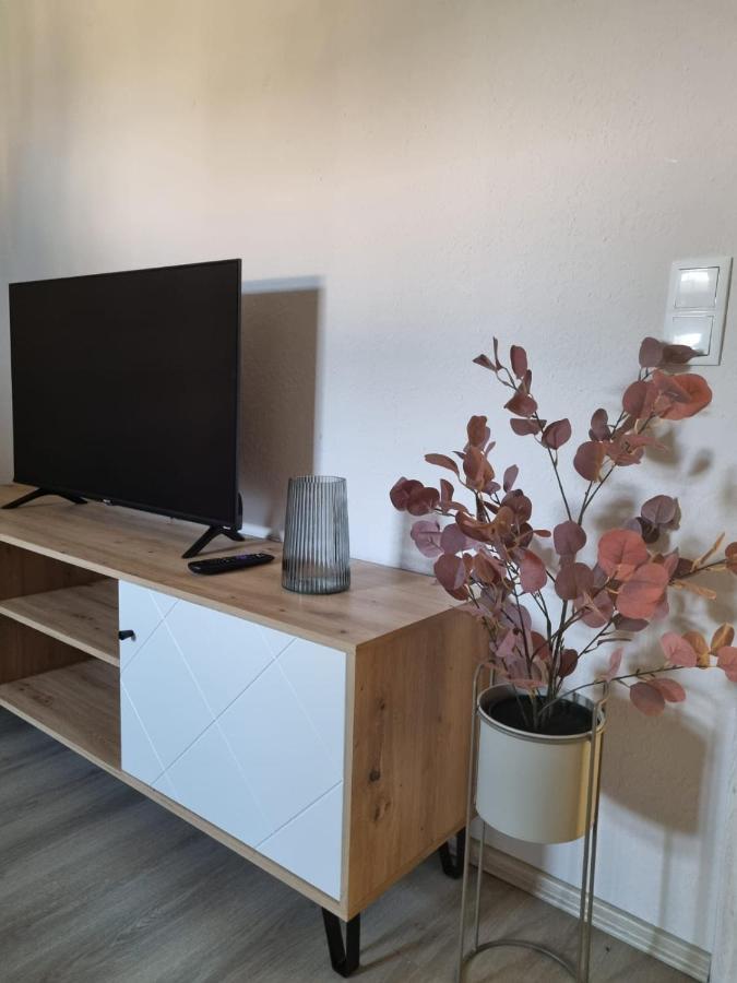 Modern Eingerichtet-Stadtnah-Ferienwohnung Mit Geschirrspueler Und Waschmaschine Friedland  Εξωτερικό φωτογραφία
